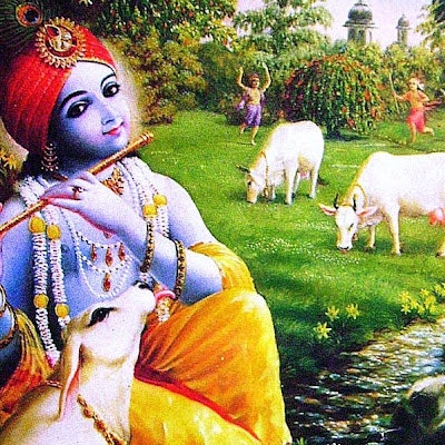 phani kalyani