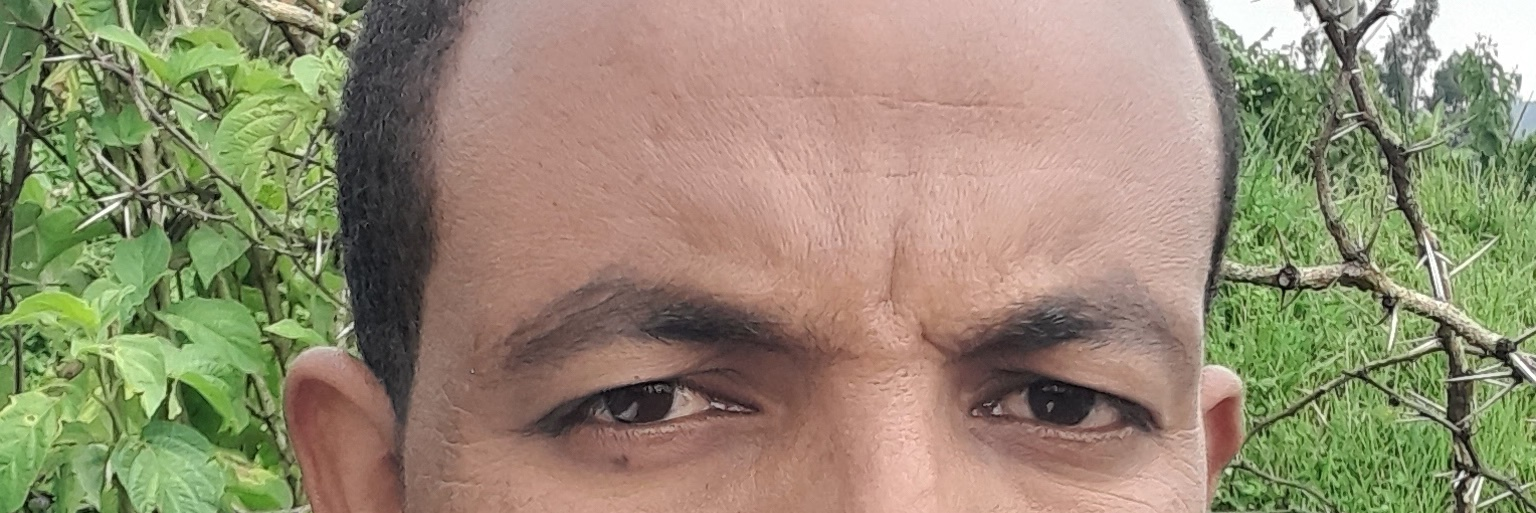 Berhanu Tesfaye