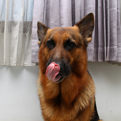 Denis Wibisono