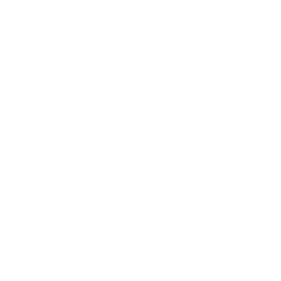 PalmFlow