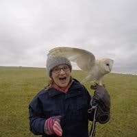 Fiona Ní Shíocháin