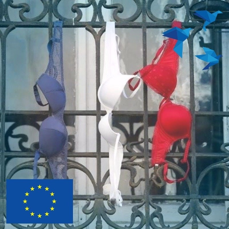 B.SCHNEIDER LE SAOUT