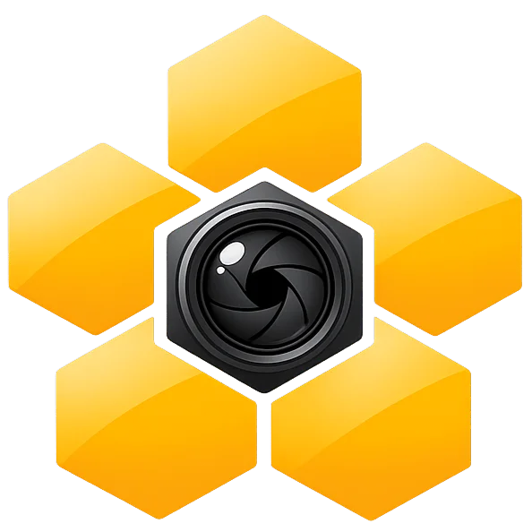 HiveMoments