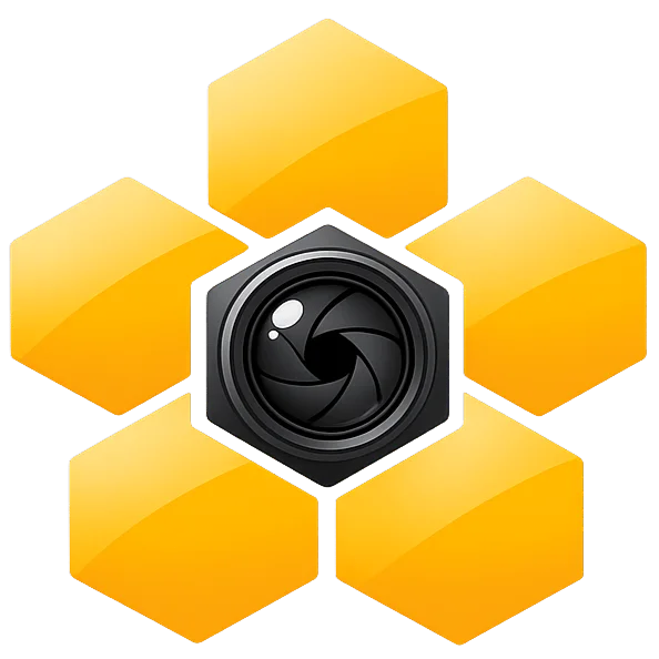 HiveMoments