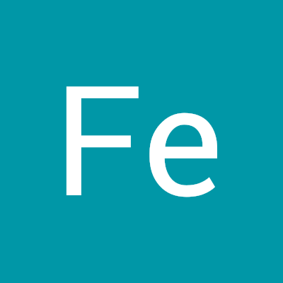 Fe Models