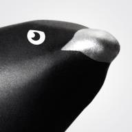 Bionic Bird