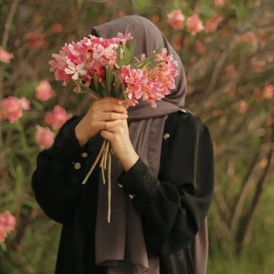 Hiwa khan