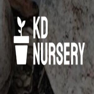 KD Nursery
