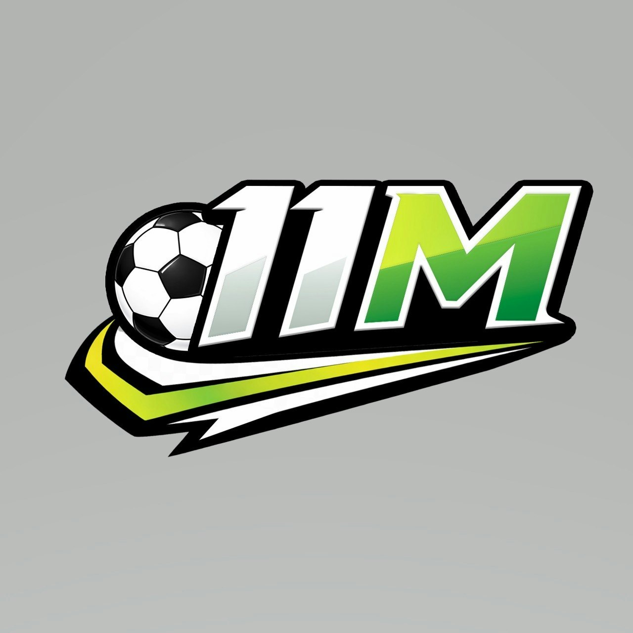 11M 