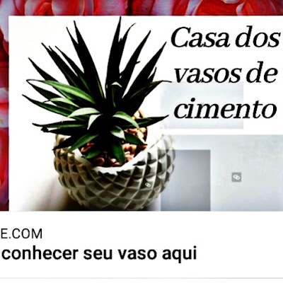Casa dos vasos de cimento