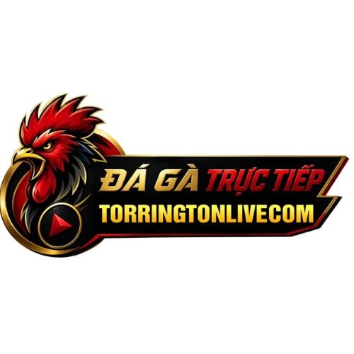 torringtonlivecom