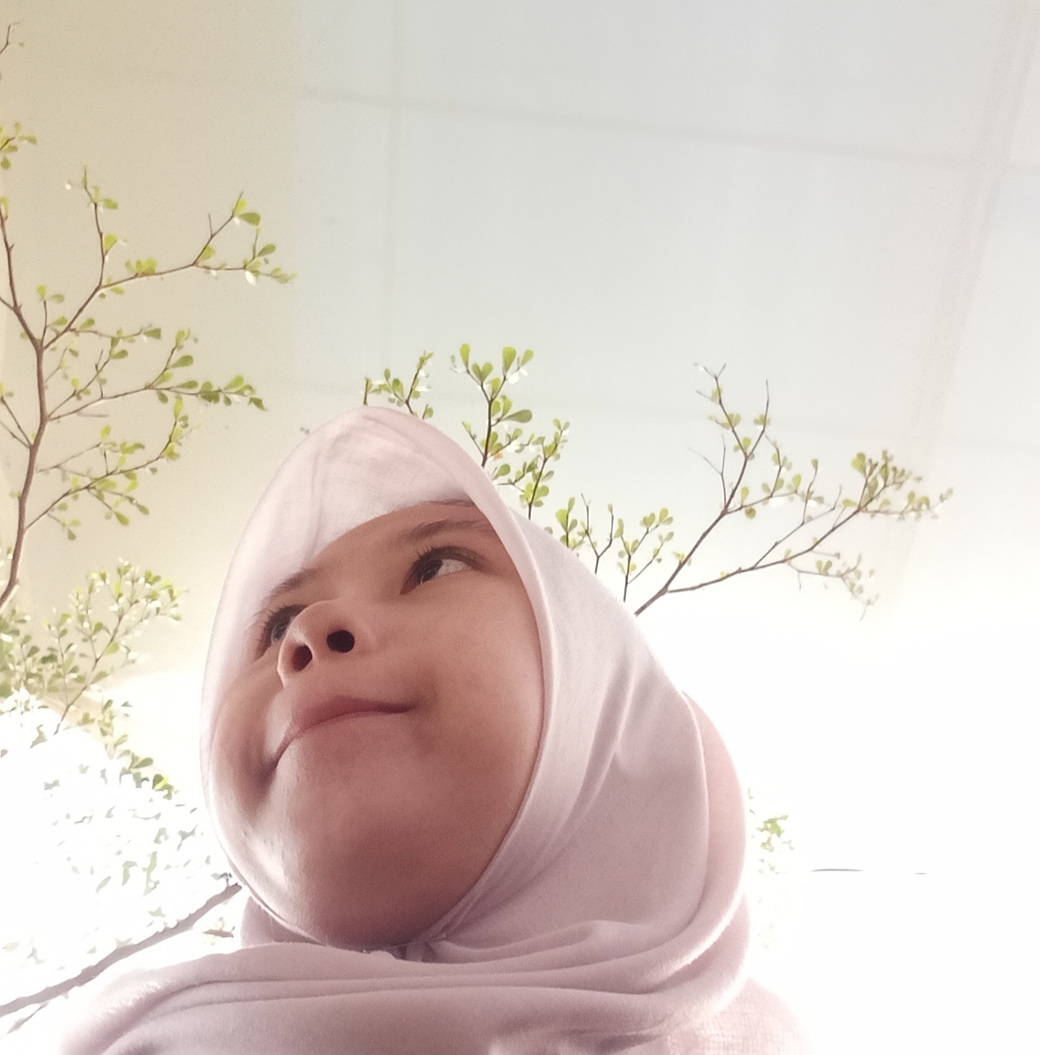 Hanifah