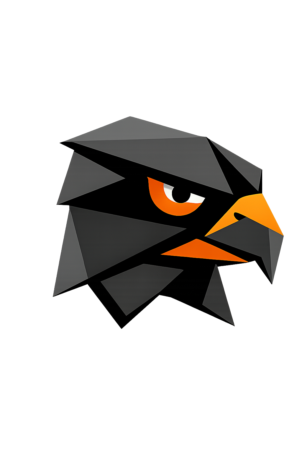 Falkon Insights