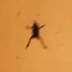 Jeremy Green