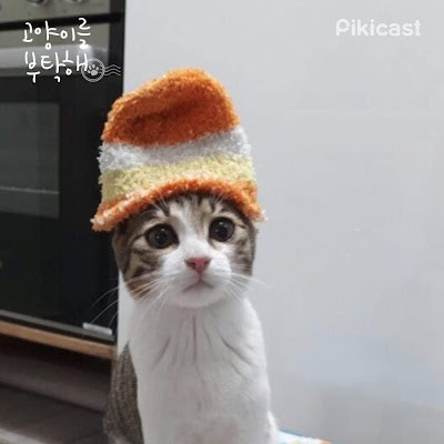 황윤재