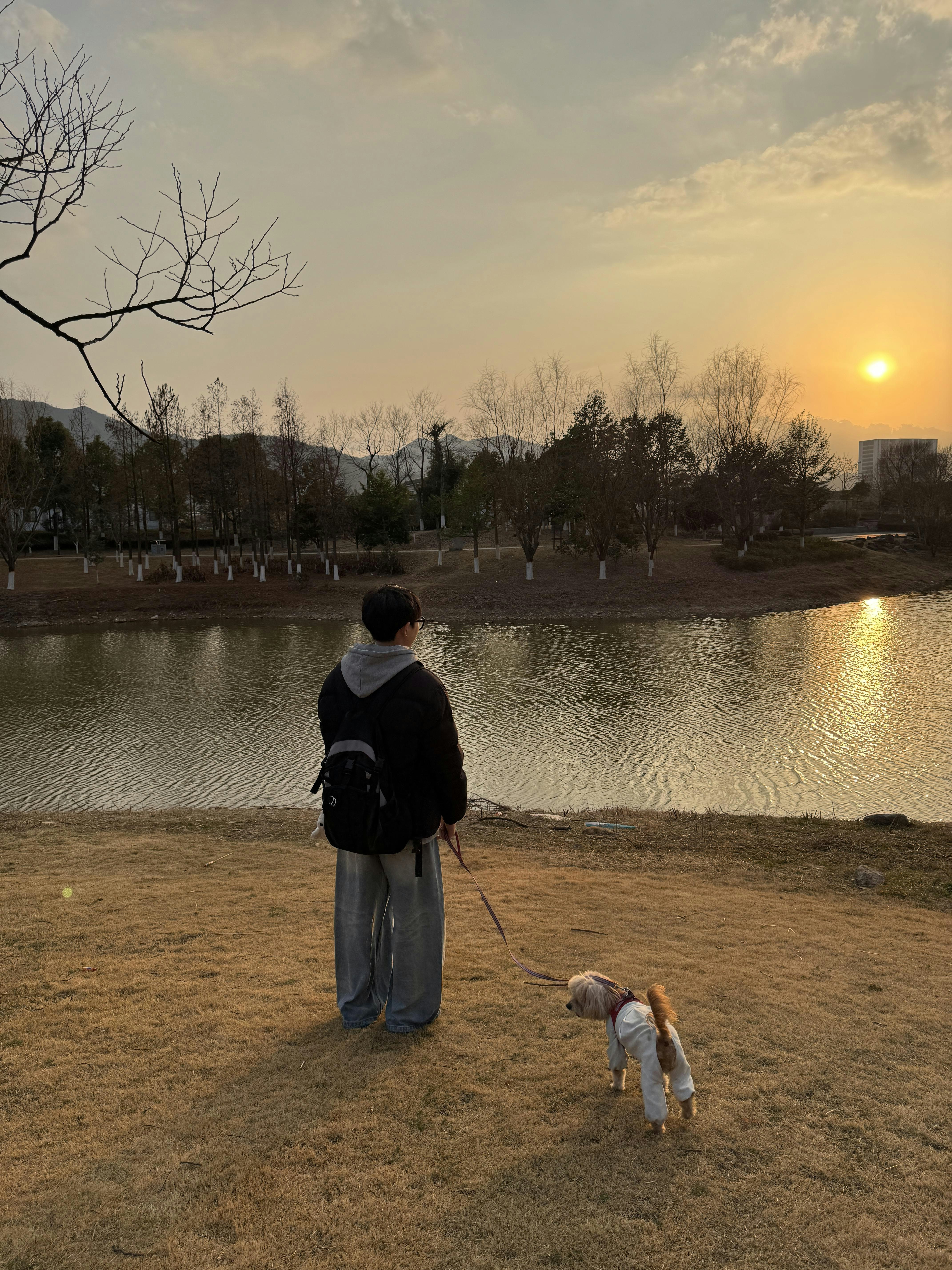 _Yao