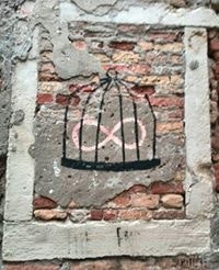 Анастасия Храброва