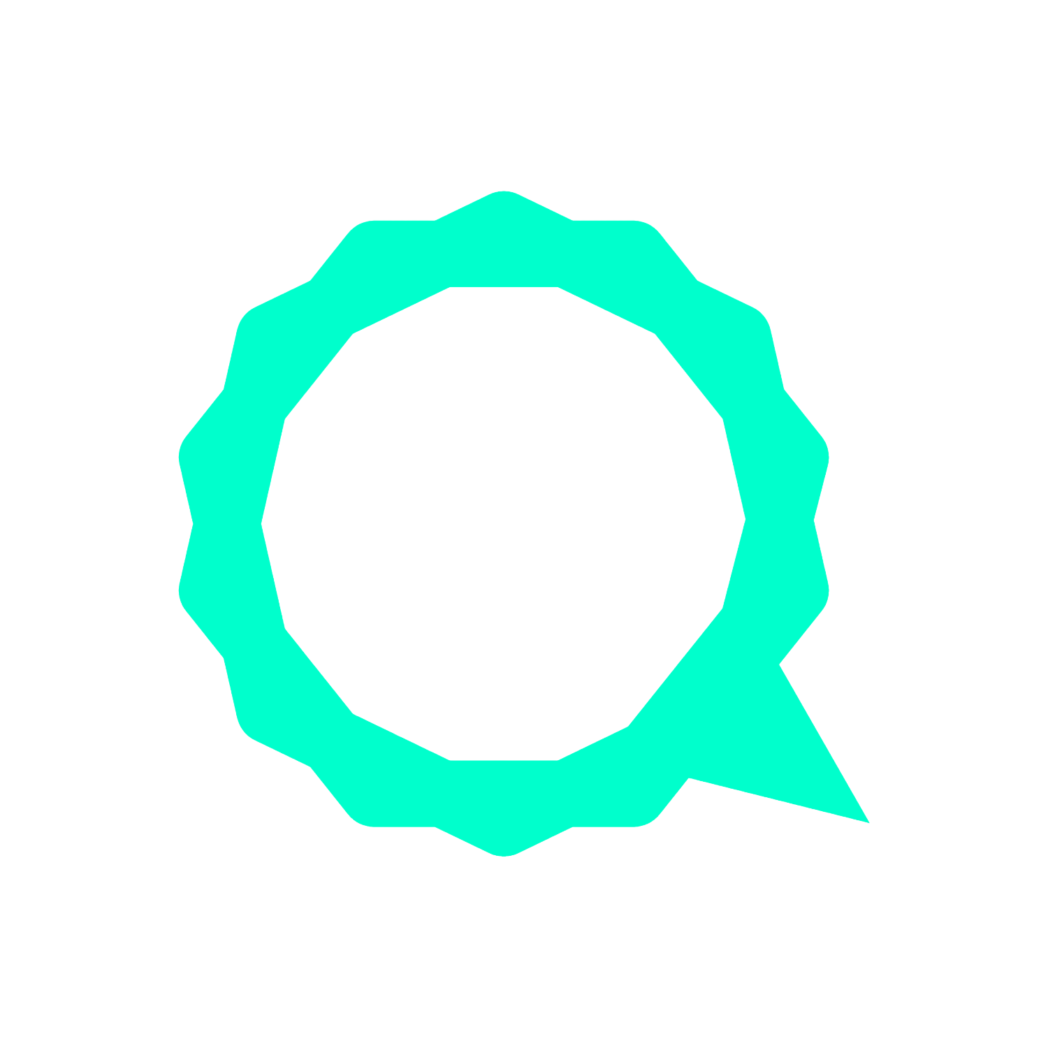 Qyster