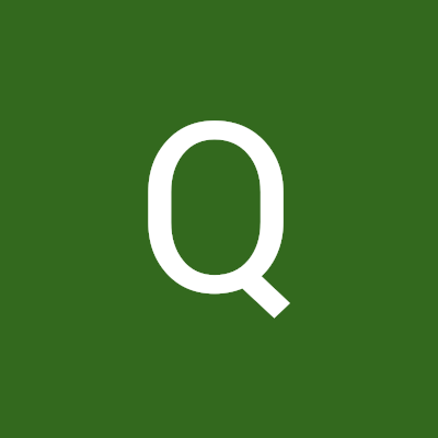 Qyster