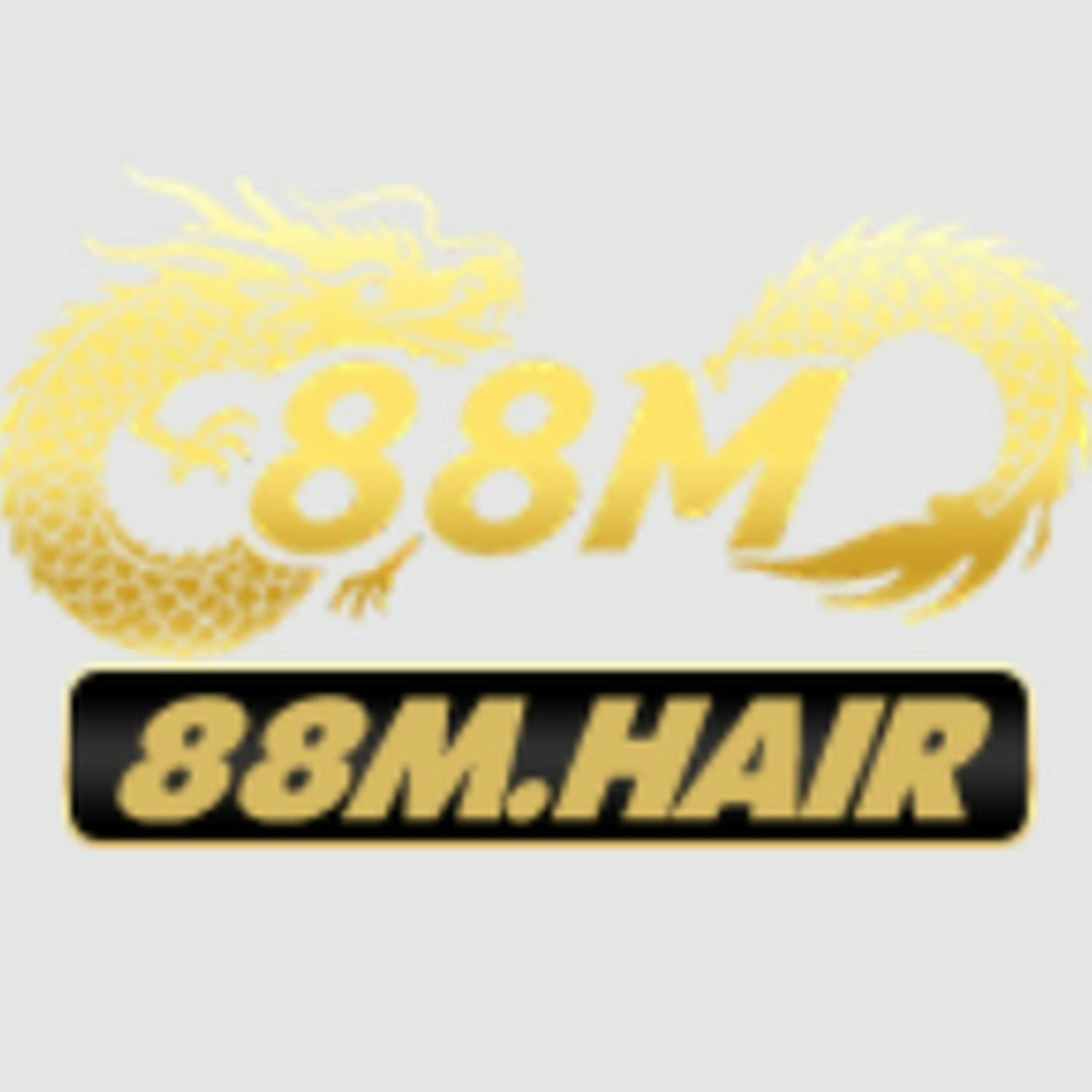 88M
