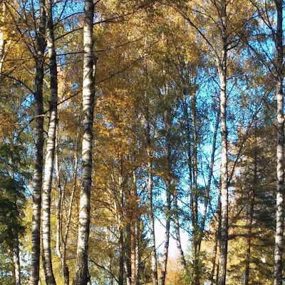 Liudmila S