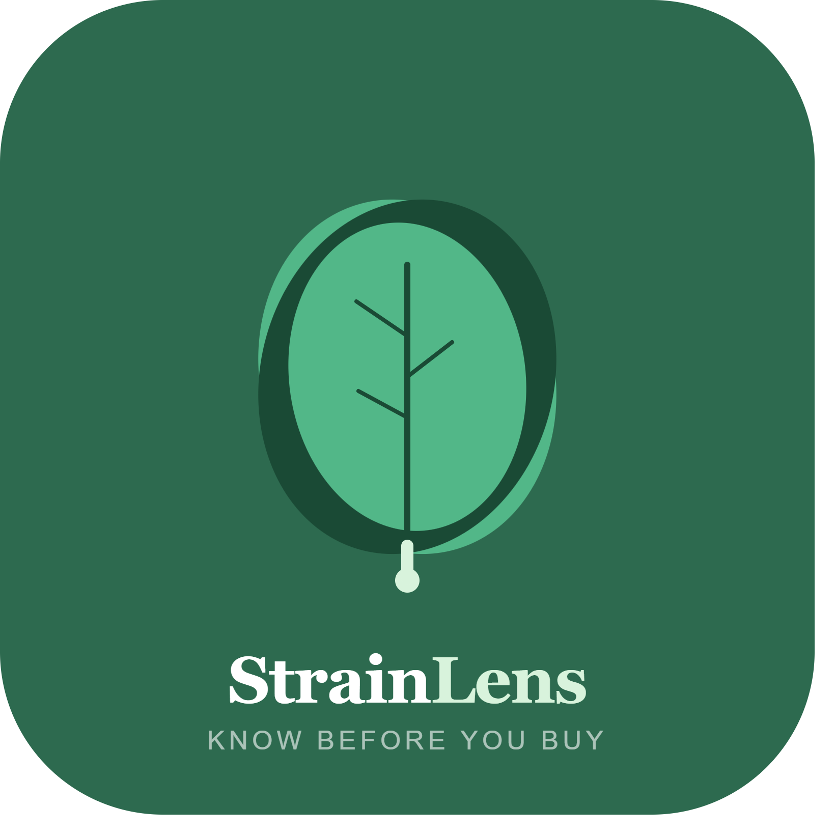 Strain Lens