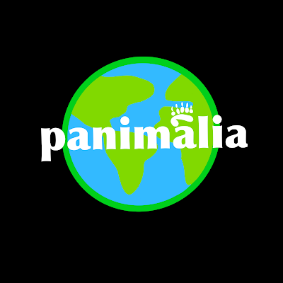 Panimalia Co