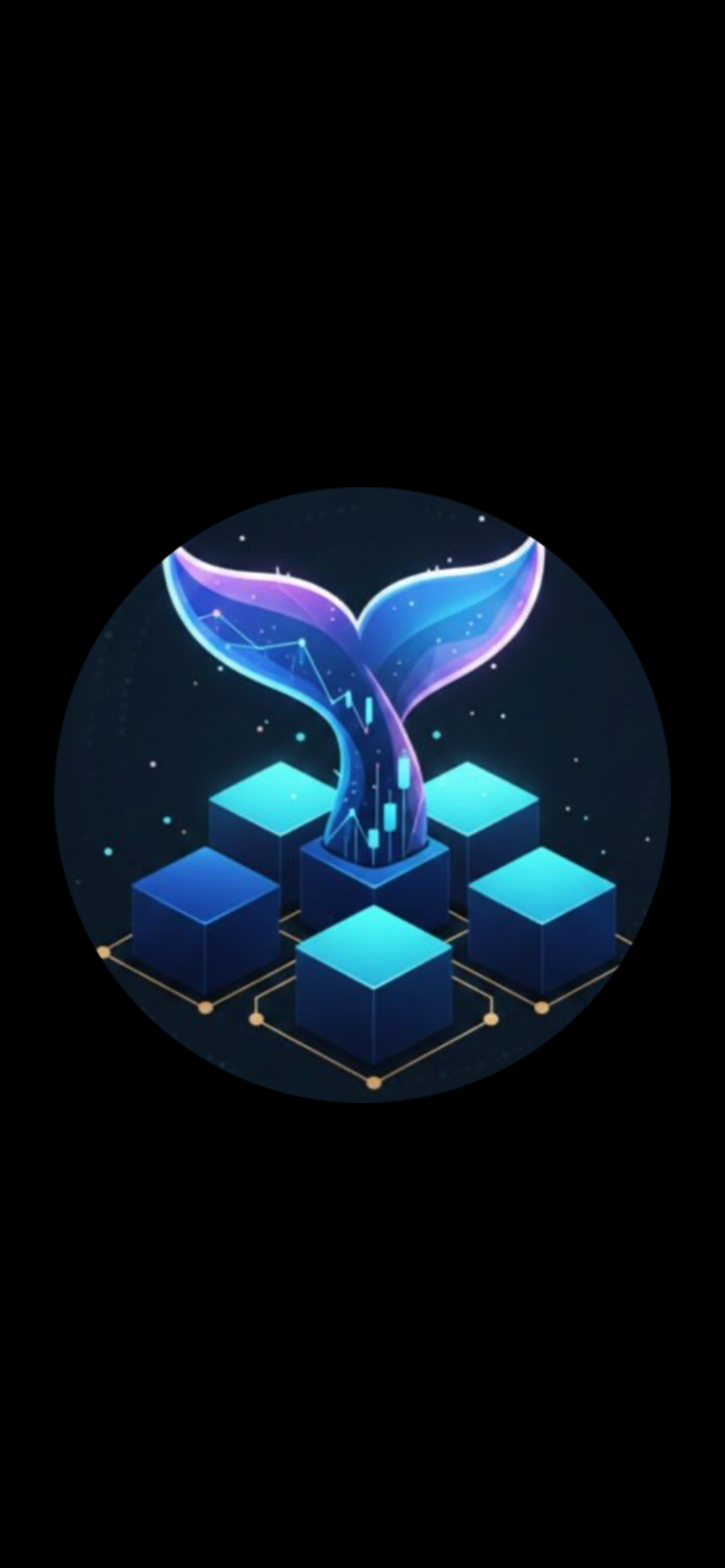 Crypto WhaleInsights