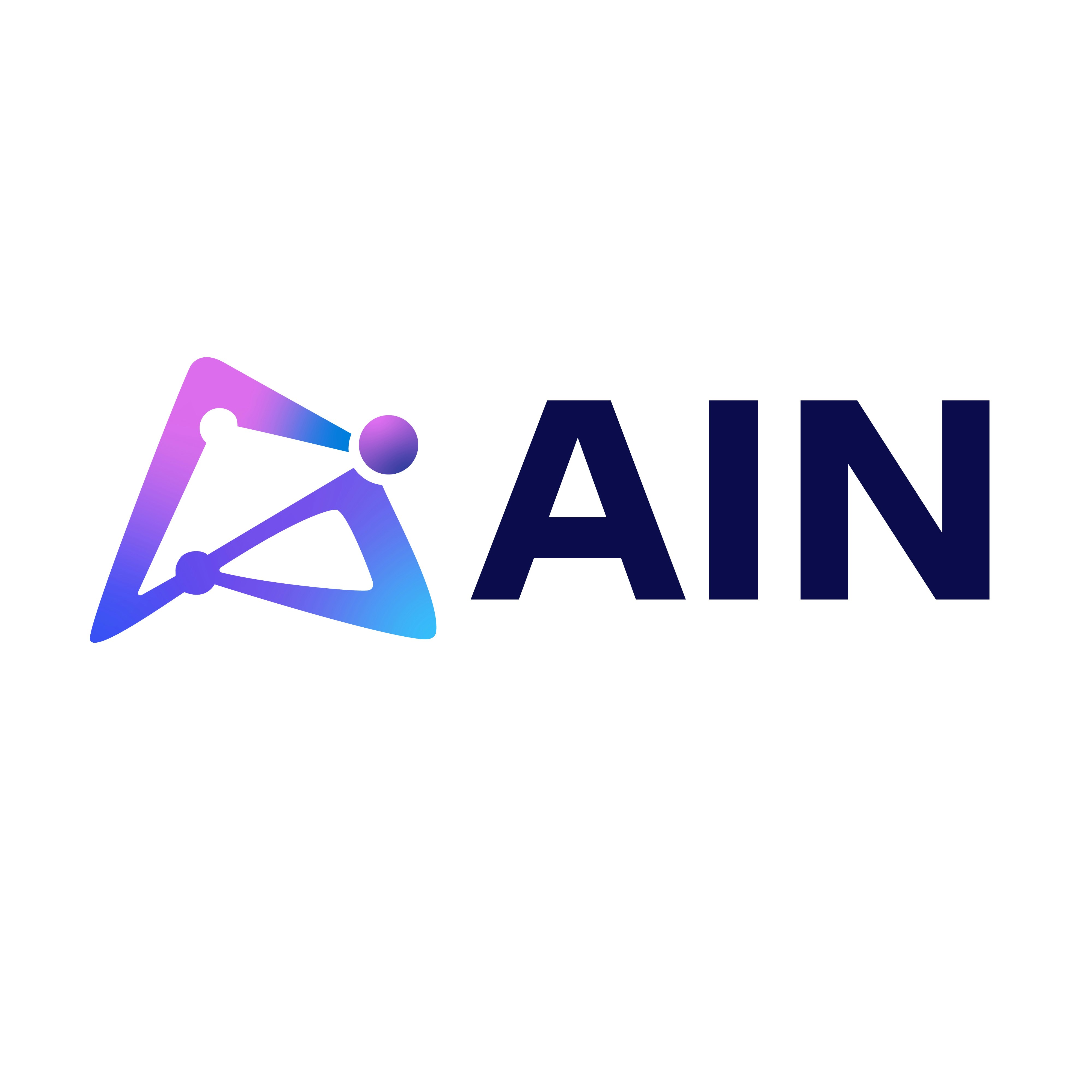 AIN Project