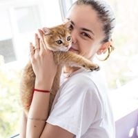 Olga Muterko MoyaMoy Cattery