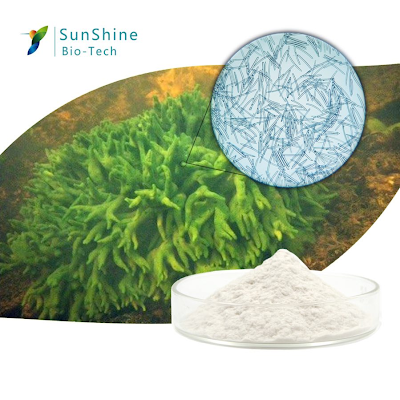 Hunan Sunshine-SQT