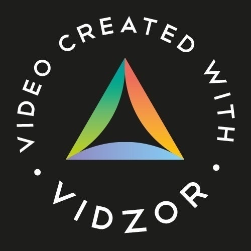 Vidzor