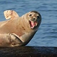 Лариса Полозкова