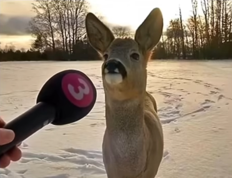 Caleb Tsai