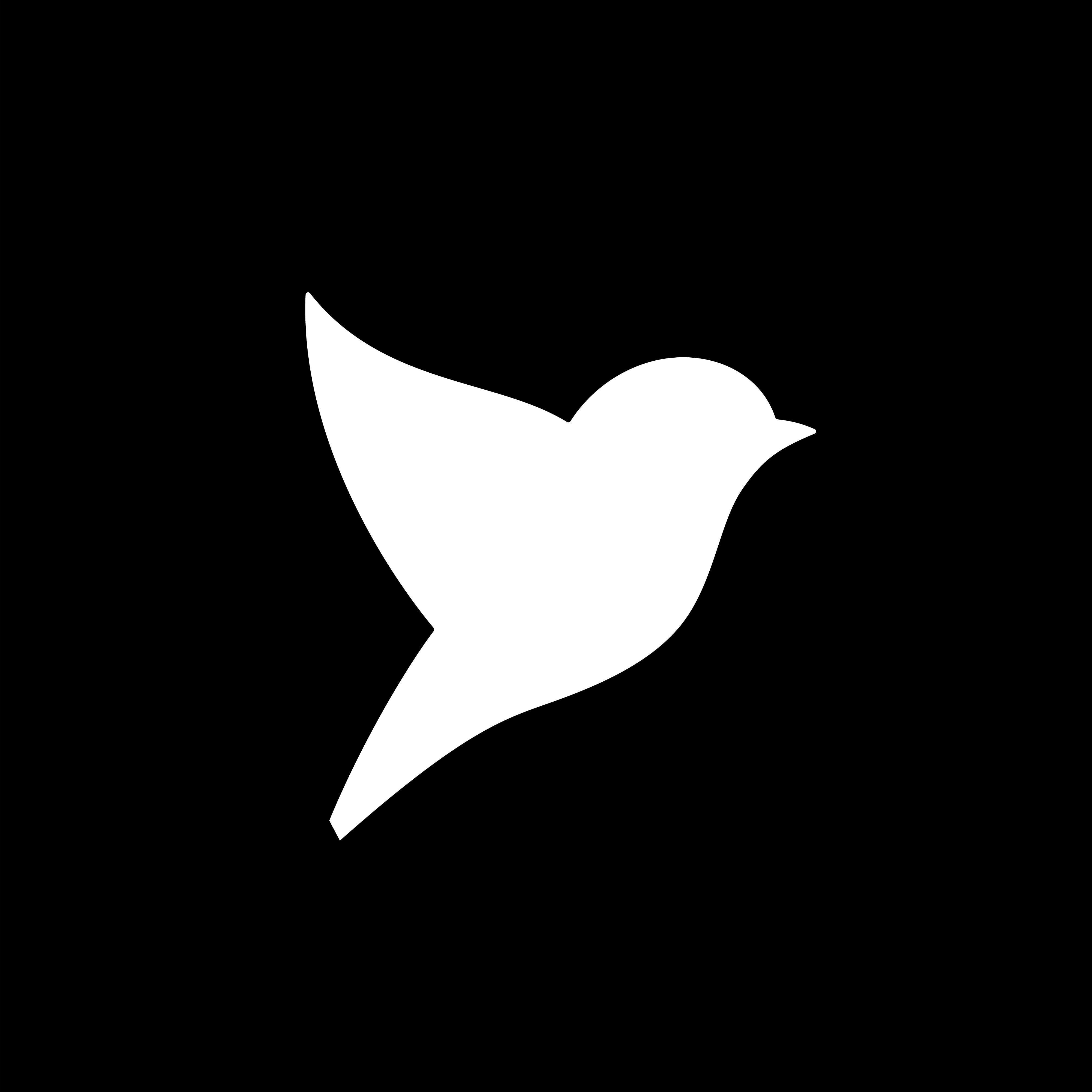 BLACKBIRD Gear