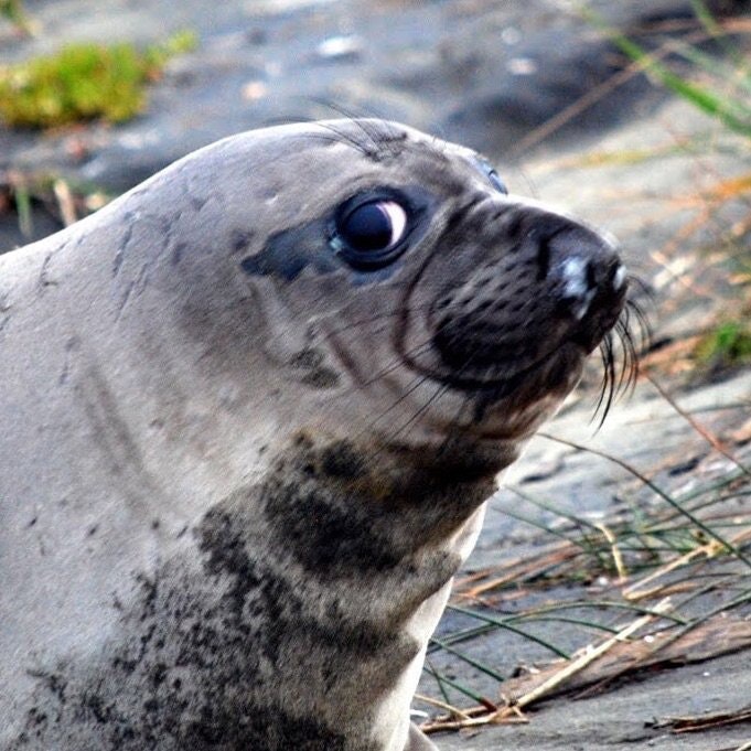 andrew 🍉 rich🇺🇸🏳️‍🌈