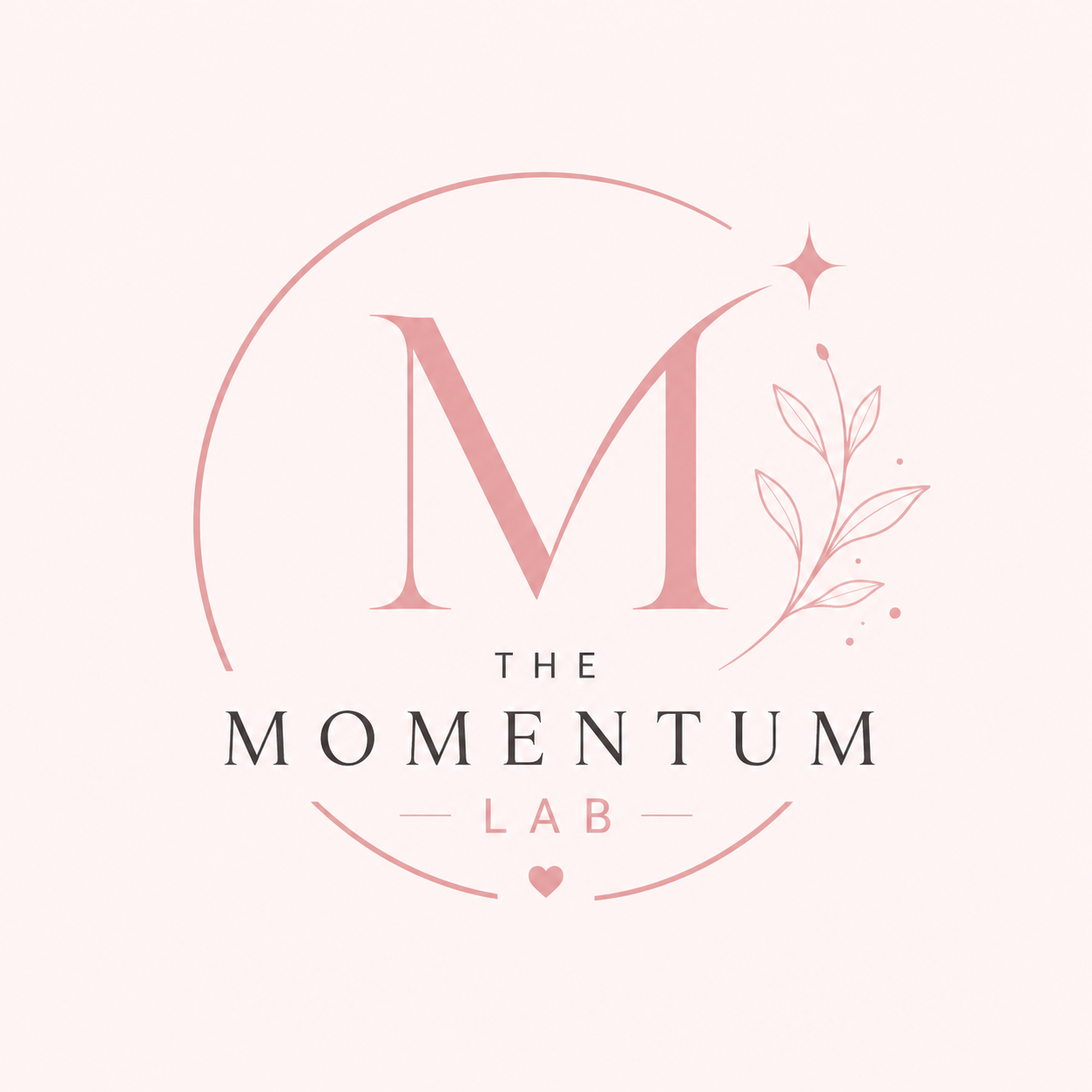 The Momentum Lab