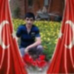 Efe Erkol