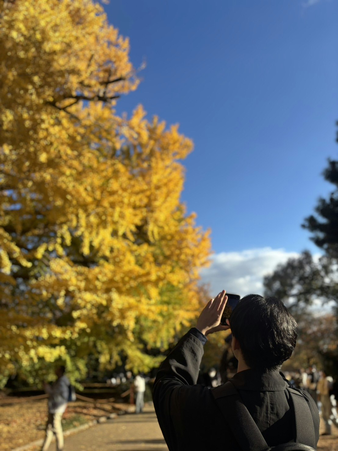 kazuki h