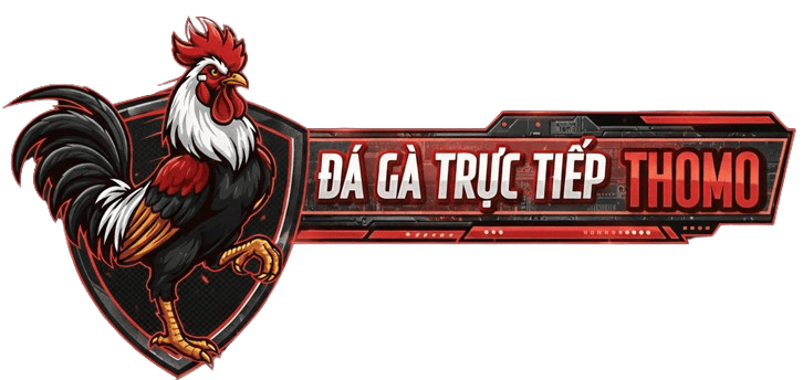 Dagatructiepthomo llc
