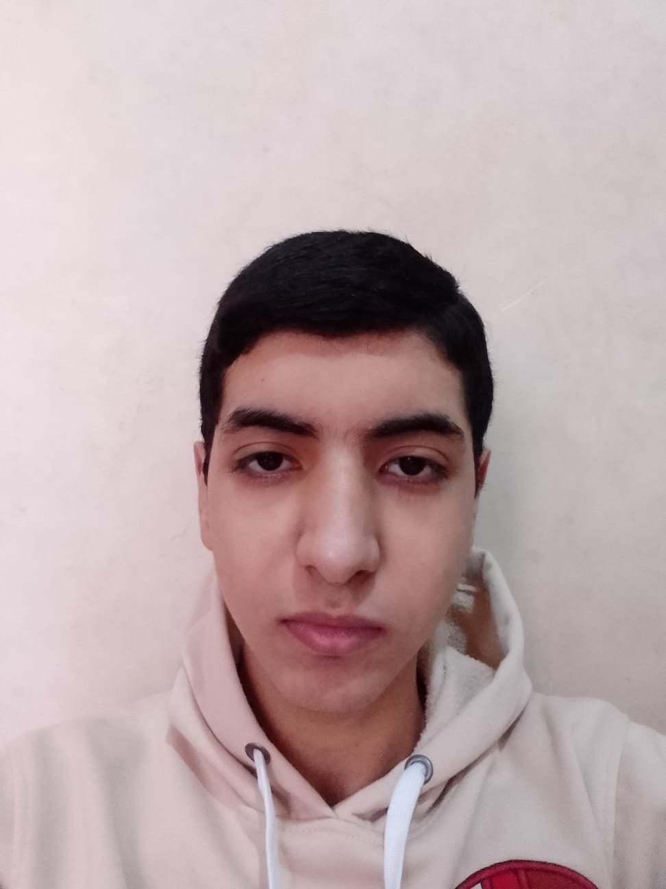 Ali Hatem Allam