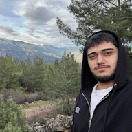 Timur Mamedov