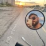 Ertuğrul Gazetesi