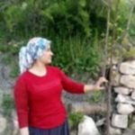 Erol