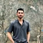 Şahin