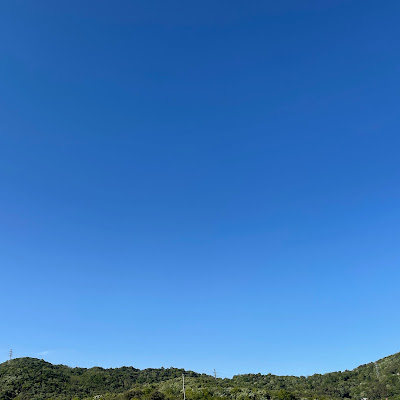 오호택
