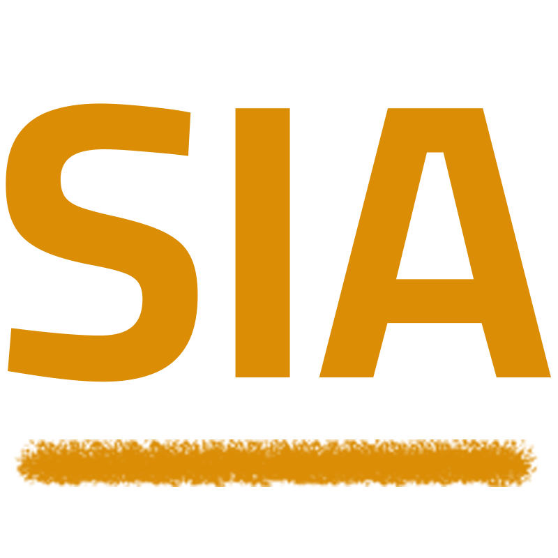 Software Implementation Academy