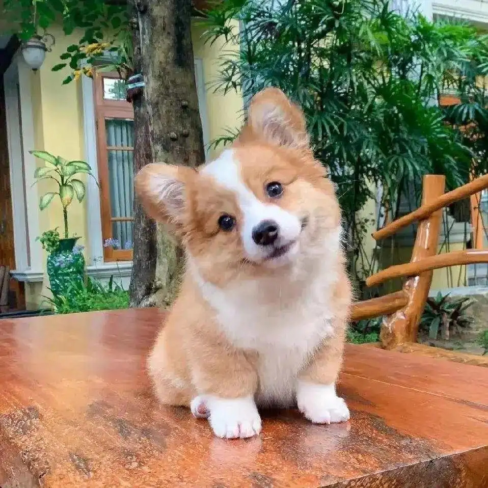ethanxu