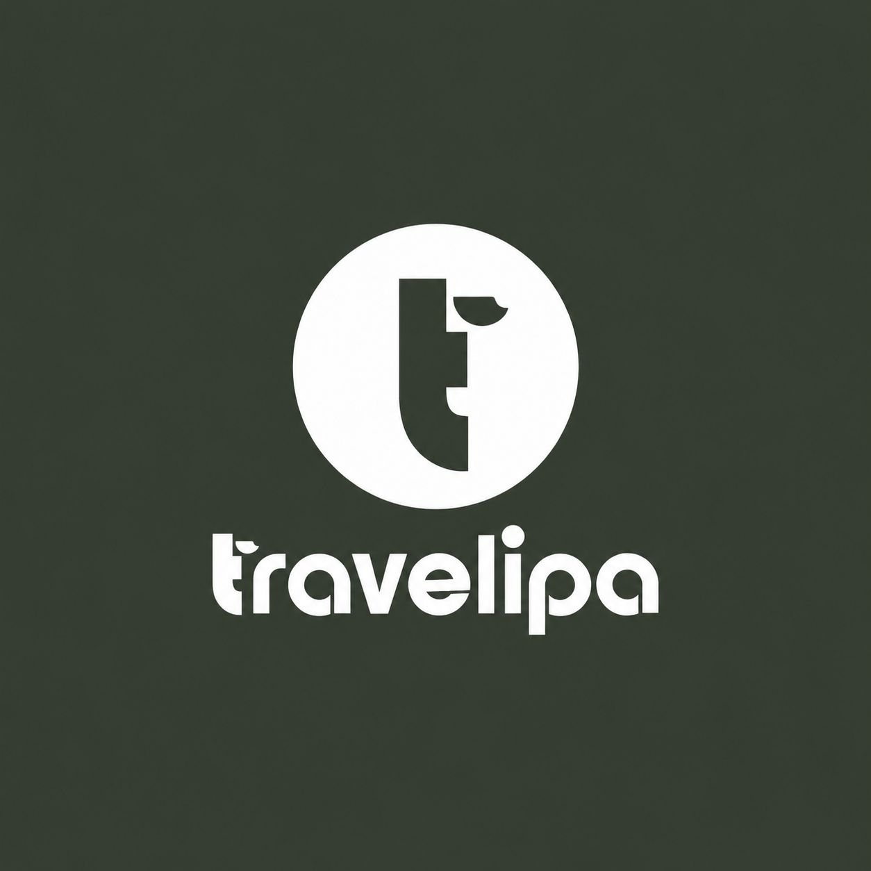 Travelipa Tours and Travel